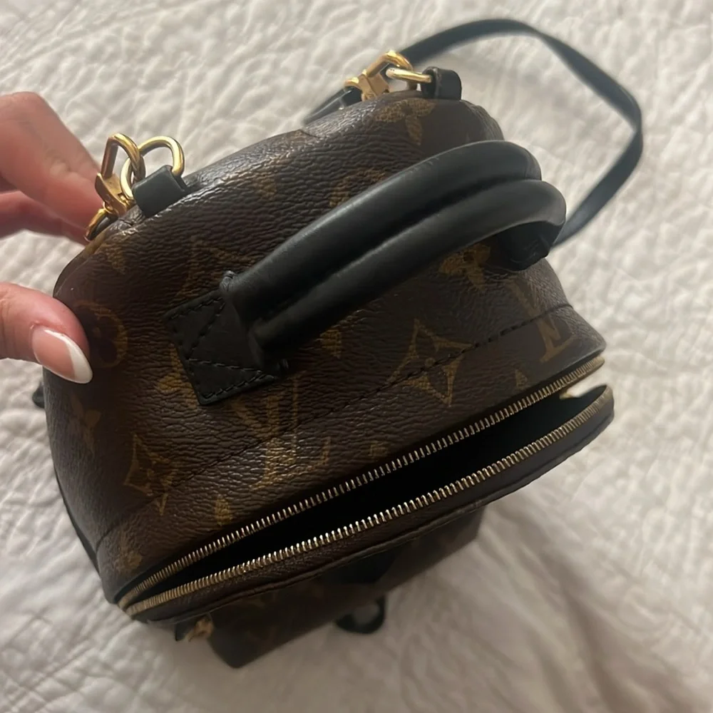 Louis Vuitton Palm Springs Mini